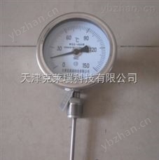 不銹鋼雙金屬溫度計,WSS工業溫度計