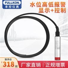 豐控FK-P260投入式水位計
