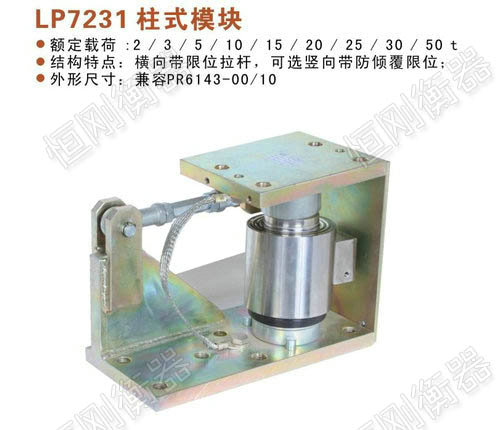 标准称重模块