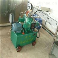 4DSY-10型電動試壓泵順源廠家保質(zhì)保量-電動泵