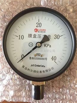 青島利爾得膜盒壓力表YE-100