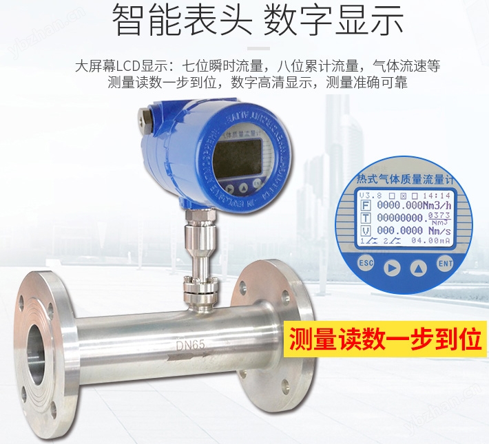 丙烯流量計(jì)液晶表頭顯示圖