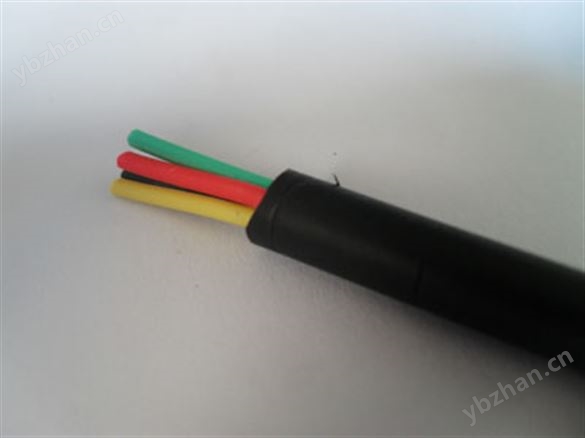 金鱗羽電源線全銅