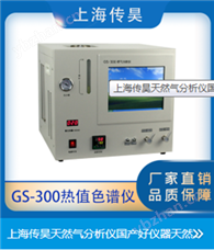 GS-300天然气分析仪 半自动化设备