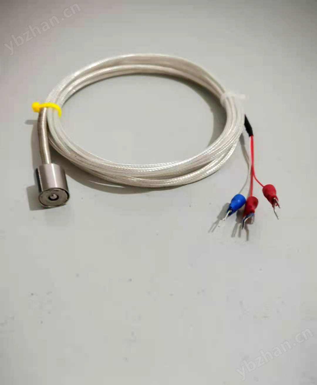 磁吸式温度传感器WZPX(图1)