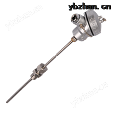 WRNK-231铠装热电偶