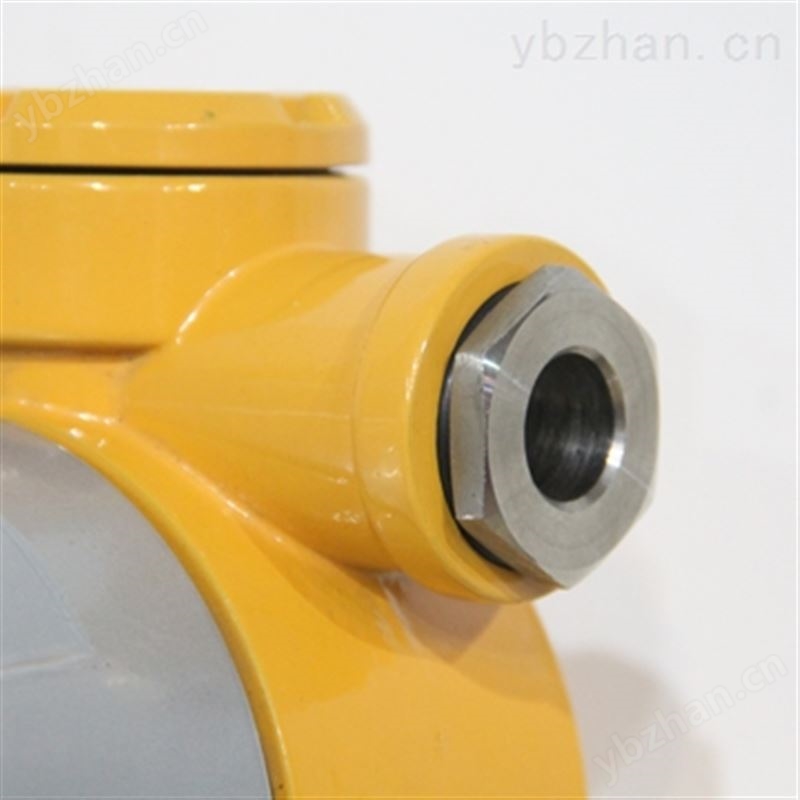 生產(chǎn)* 在線式固定式氣體探測器 獨立顯示、聲光報警